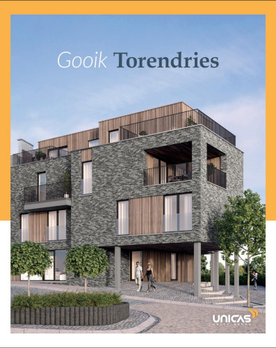 Kaft van Gooik Torendries